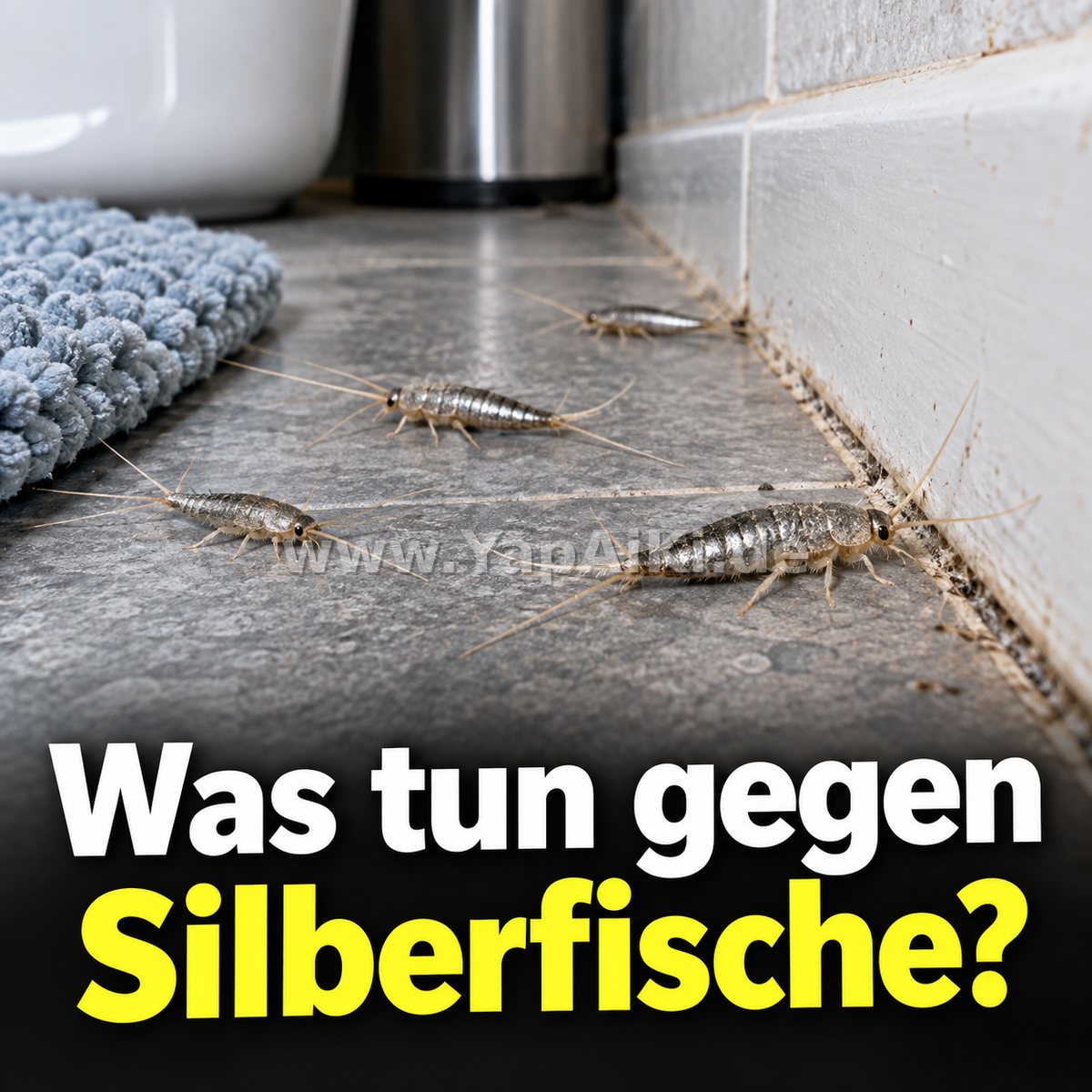 Was tun gegen Silberfische? – Artikelbild