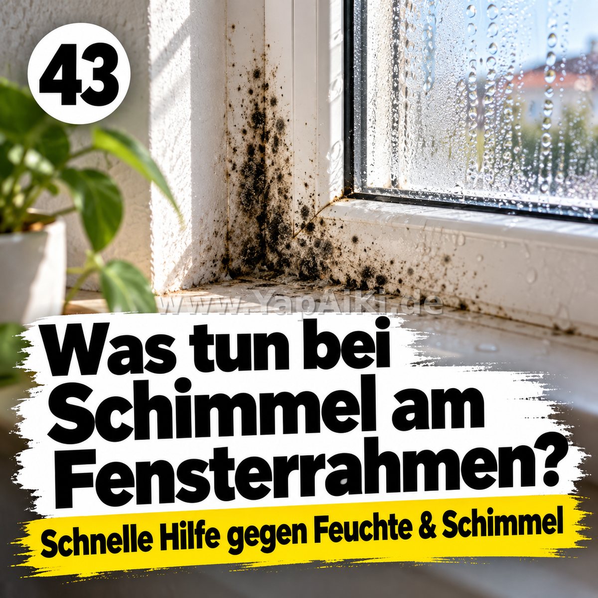 Was tun bei Schimmel am Fensterrahmen? – Artikelbild
